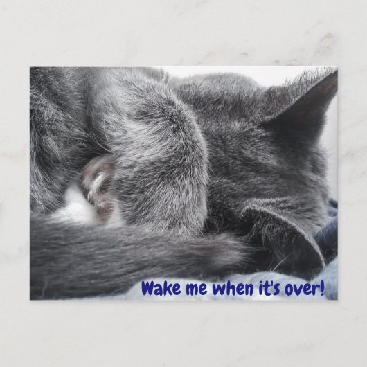 Carte postale Kitty (Devant)