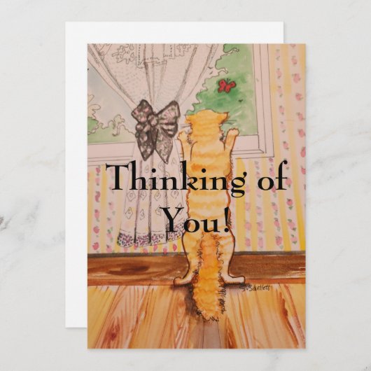 carte postale kitty (Devant / Derrière)