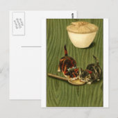 Carte Postale Kitty (Devant / Derrière)