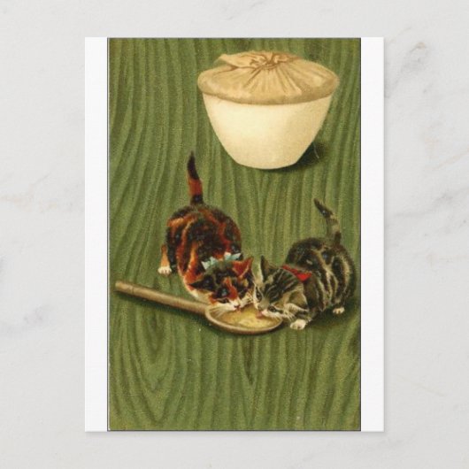 Carte Postale Kitty (Devant)