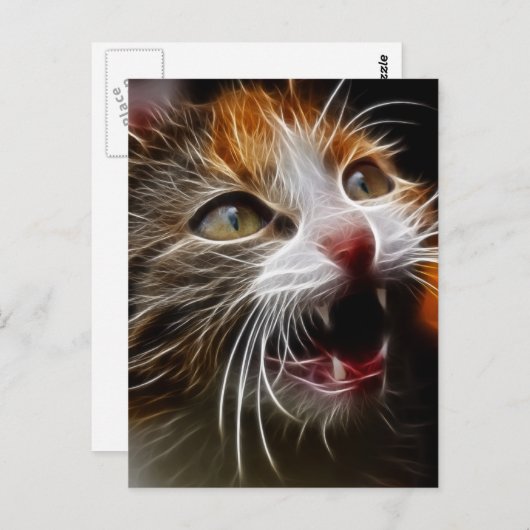 Carte Postale Kitty a faim (Devant / Derrière)