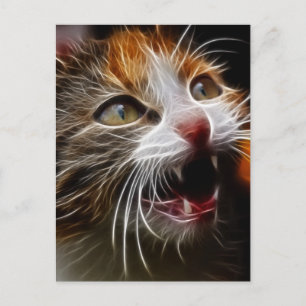 Carte Postale Kitty a faim