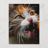 Carte Postale Kitty a faim (Devant)