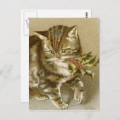 Carte postale: Kitty avec Holly Sprig (Devant / Derrière)