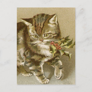 Carte postale: Kitty avec Holly Sprig