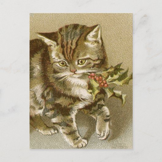 Carte postale: Kitty avec Holly Sprig (Devant)