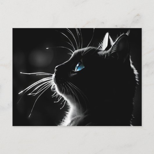 Carte Postale Kitty avec rétroéclairage luisant animal de compag (Devant)