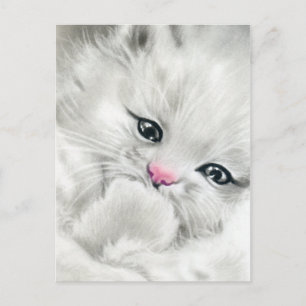 carte postale kitty blanc et rose