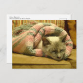 Carte Postale Kitty Burrito (Devant / Derrière)