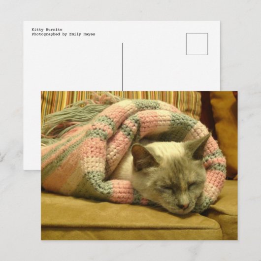 Carte Postale Kitty Burrito (Devant / Derrière)