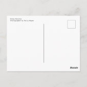 Carte Postale Kitty Burrito (Dos)