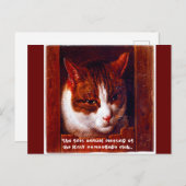 Carte Postale "Kitty camouflage club" (Devant / Derrière)