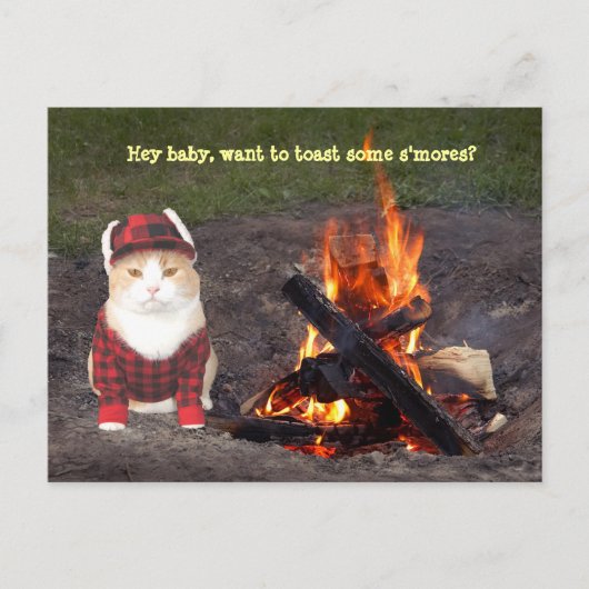 Carte Postale Kitty Campfire (Devant)