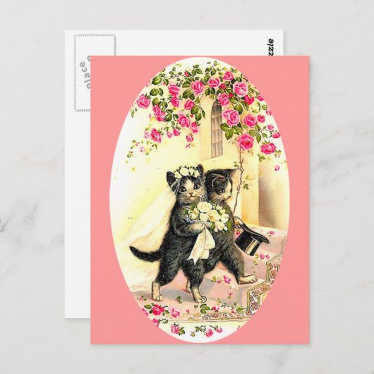 Carte Postale Kitty Cat (Devant / Derrière)