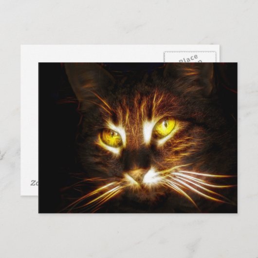 Carte postale Kitty Cat (Devant / Derrière)