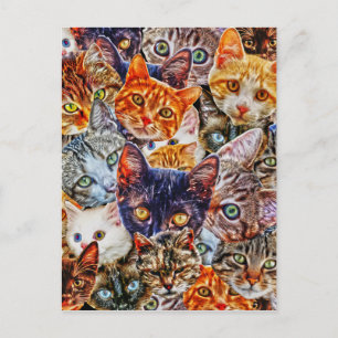 Carte Postale Kitty Cat Collage