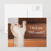 Carte Postale Kitty chat amour (Devant / Derrière)