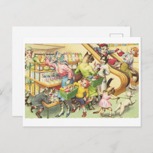 Carte Postale Kitty Chats dans une épicerie, Chats en Vêtements (Devant / Derrière)