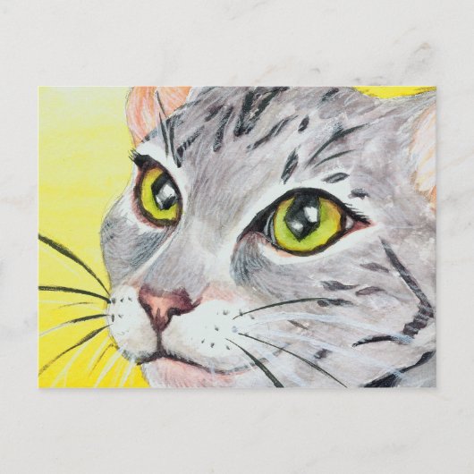 Carte postale Kitty Closeup (Devant)