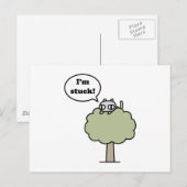 Carte Postale Kitty Coincé Dans L'Arbre (Devant / Derrière)