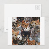 Carte Postale Kitty Collage (Devant / Derrière)