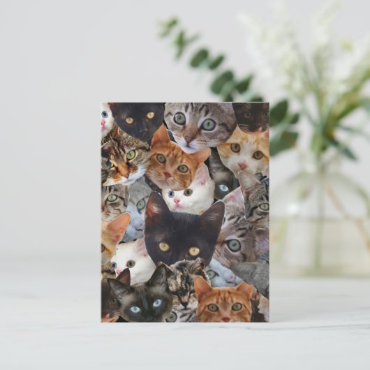 Carte Postale Kitty Collage (Debout devant)