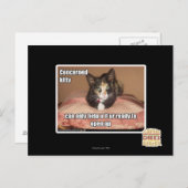 Carte Postale Kitty Concerné (Devant / Derrière)