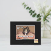 Carte Postale Kitty Concerné (Debout devant)