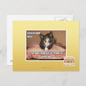 Carte Postale Kitty Concerné (Devant / Derrière)