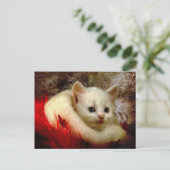 Carte Postale Kitty d'hiver (Debout devant)