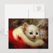 Carte Postale Kitty d'hiver (Devant / Derrière)