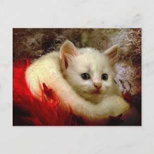 Carte Postale Kitty d'hiver