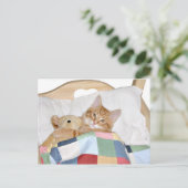 Carte Postale Kitty dort avec Teddy (Debout devant)