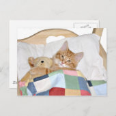 Carte Postale Kitty dort avec Teddy (Devant / Derrière)