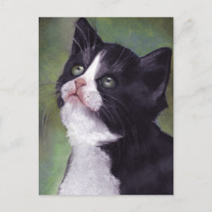 Carte Postale Kitty En Regard : Chat à l'huile Pastel