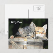 Carte Postale Kitty Fun (Devant / Derrière)