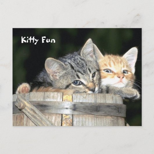 Carte Postale Kitty Fun (Devant)