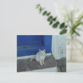 Carte Postale Kitty grec (Debout devant)