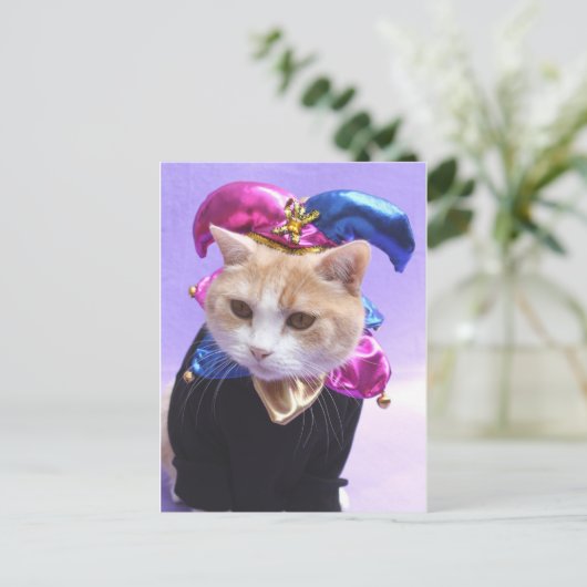 Carte Postale Kitty Jester (Debout devant)