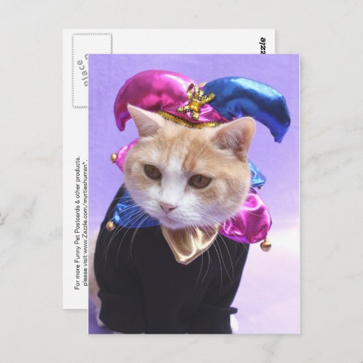 Carte Postale Kitty Jester (Devant / Derrière)
