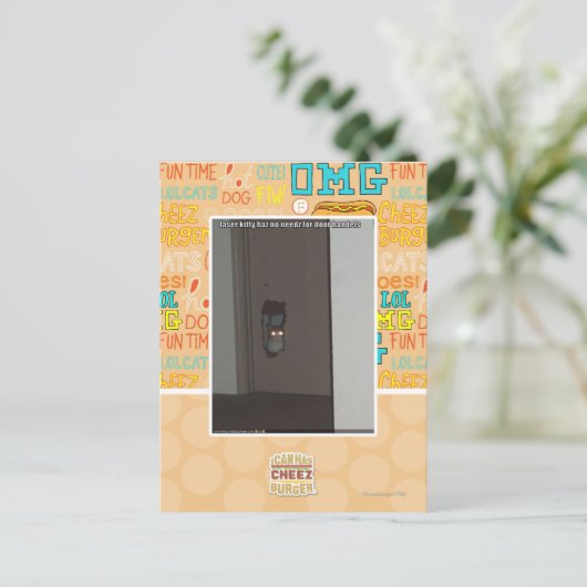 Carte Postale Kitty laser (Debout devant)