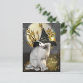 Carte Postale Kitty Le Chat Magique Sorcières (Debout devant)
