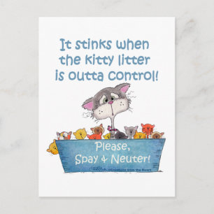 Carte Postale Kitty Litter pue