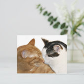 Carte Postale Kitty Love (Debout devant)