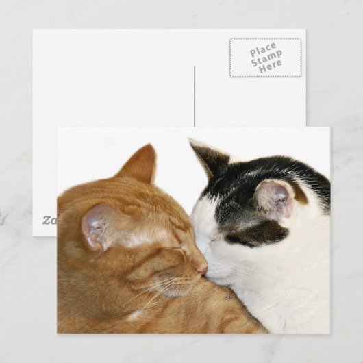 Carte Postale Kitty Love (Devant / Derrière)