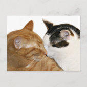 Carte Postale Kitty Love (Devant)