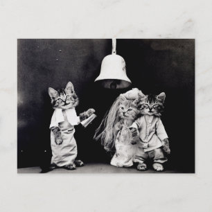 Carte Postale Kitty Mariage