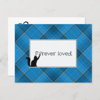 Kitty Pet Perdre la Sympathie de Vet