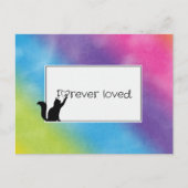 Carte Postale Kitty Pet Perdre la Sympathie de Vet (Devant)