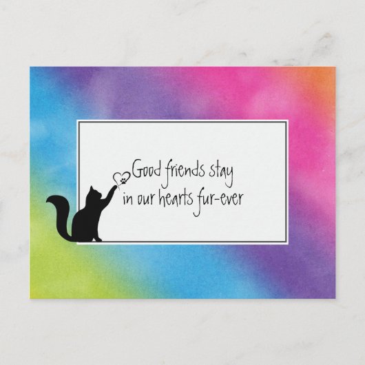 Carte Postale Kitty Pet Perdre la Sympathie de Vet (Devant)